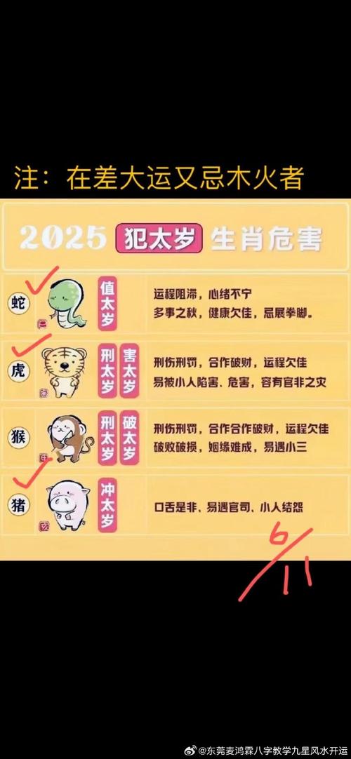 今期看好莫放过代表什么意思、今期看好莫放过,四头三尾不考虑是什么生肖