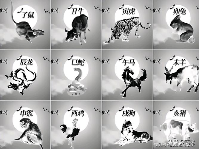 打一生肖最佳配对、打一生肖是什么动物