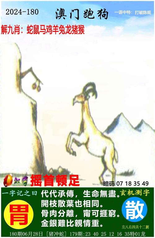 2024澳门跑狗图记录、香港正版综合资料大全官网