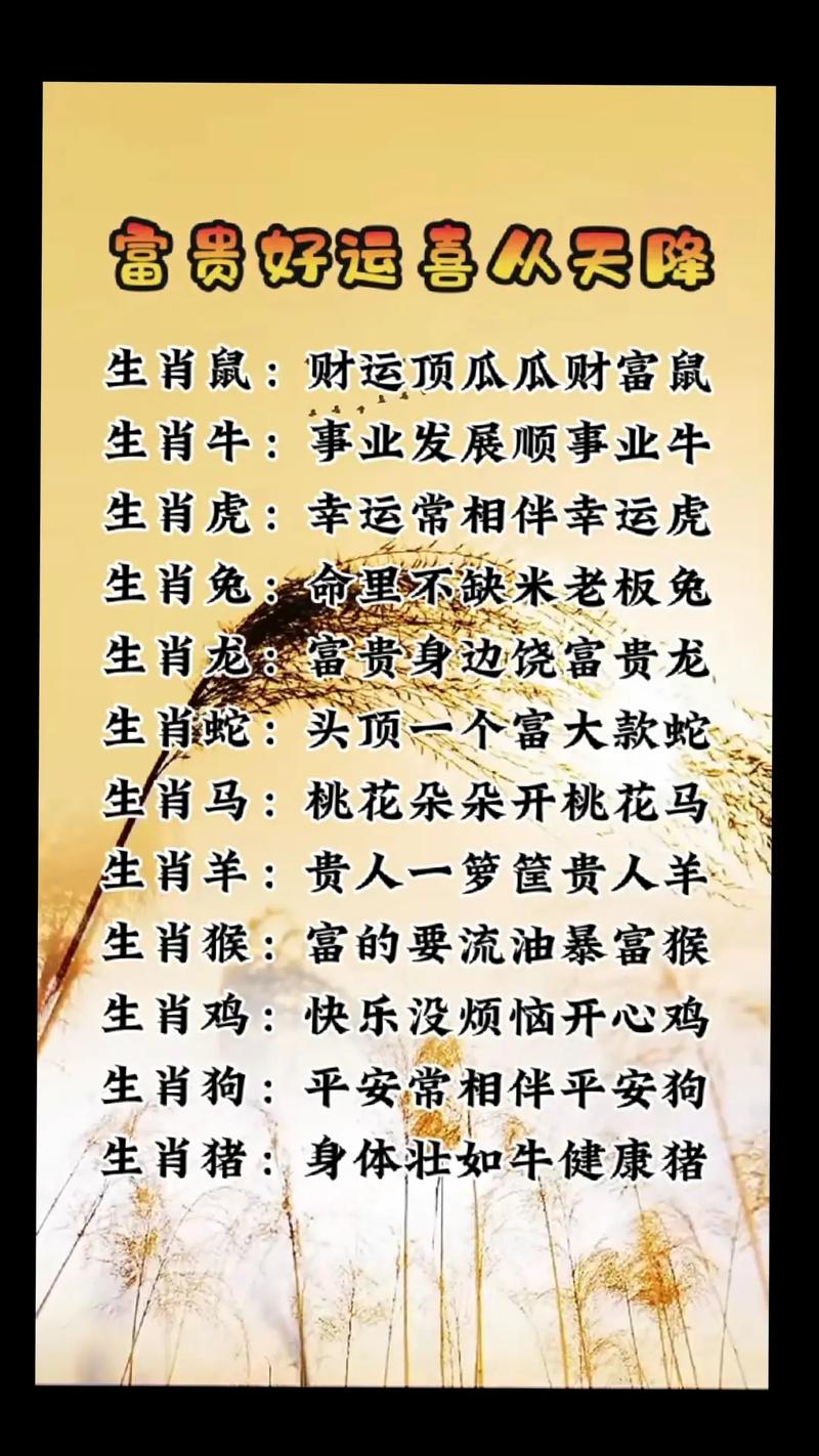 今期开怀打最佳生肖、今期开什么生肖动物视频