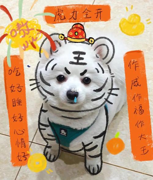 今期生肖四方正,孰知画虎难画骨的简单介绍