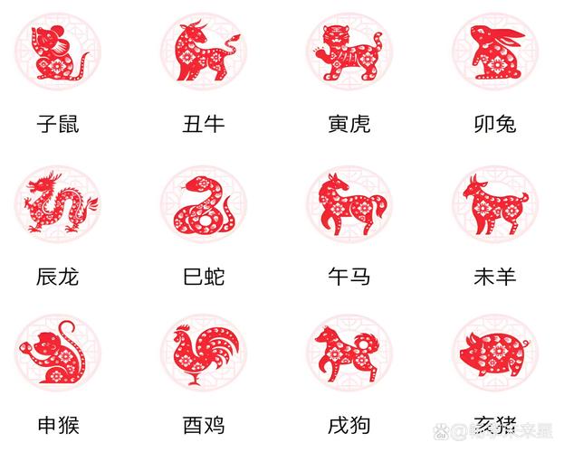 今期生肖龙鸡羊、今期生肖鸡进笼是什么生肖