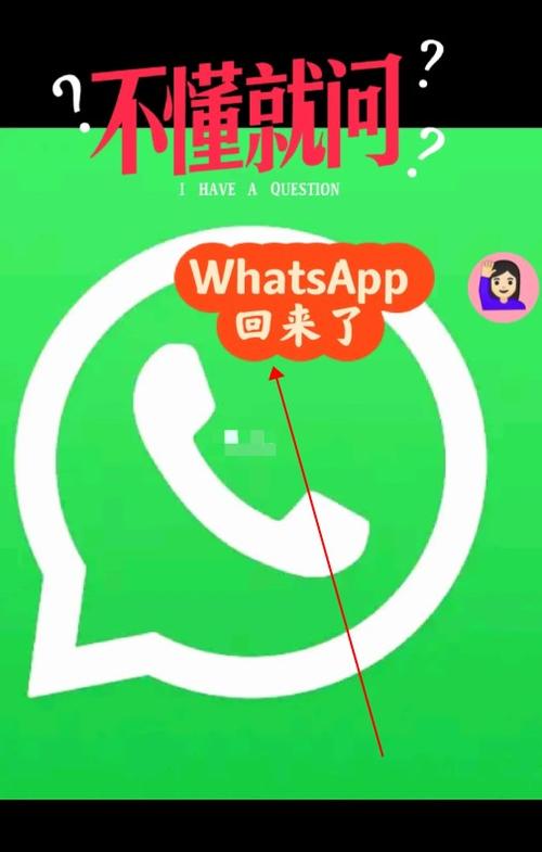 最新whatsapp官网、whatsapp官网最新下载安卓